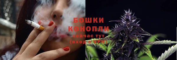 бошки Богородицк
