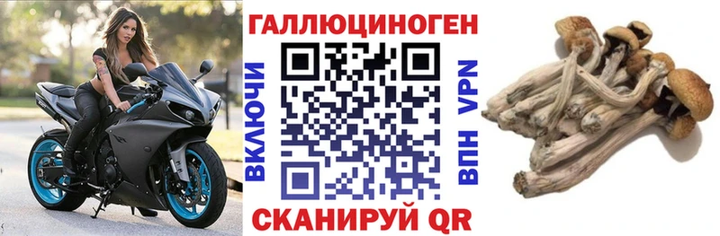 Галлюциногенные грибы мицелий  закладка  Биробиджан 